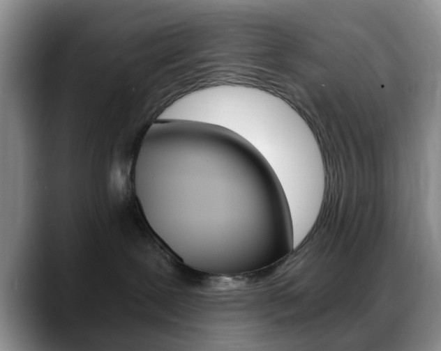 X0000088890239200706080813