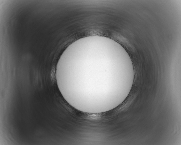 X0000088890240200706080813