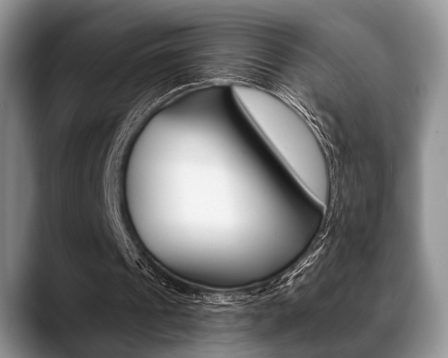 X0000088890241200706080812