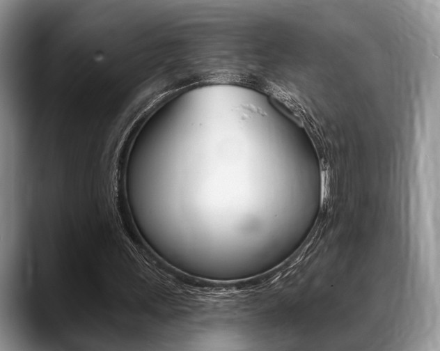 X0000088890243200706080812
