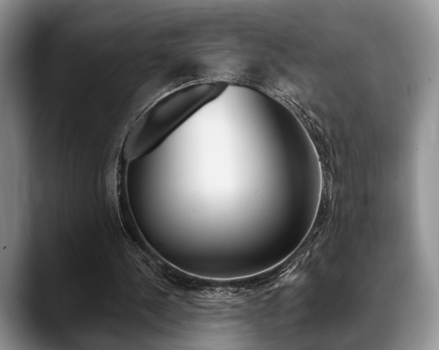 X0000088890244200706080812