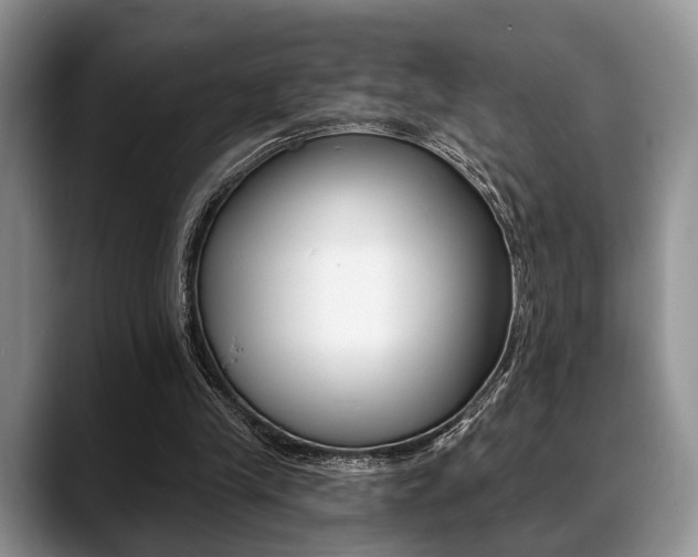 X0000088890245200706080812