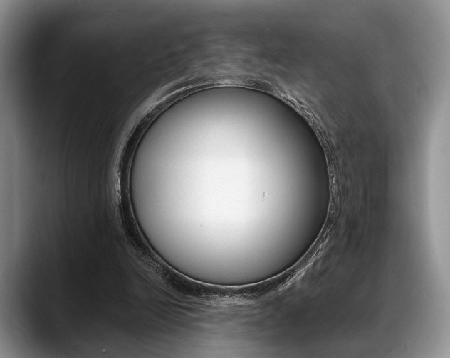 X0000088890246200706080812