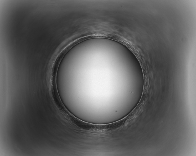 X0000088890247200706080812