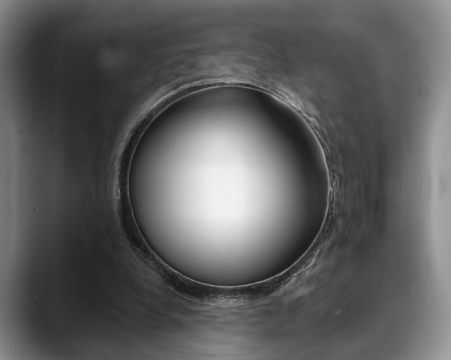X0000088890248200706080812
