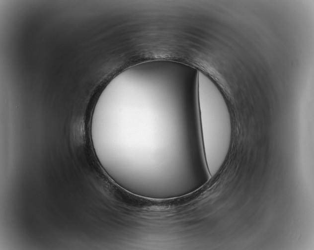 X0000088890251200706080812