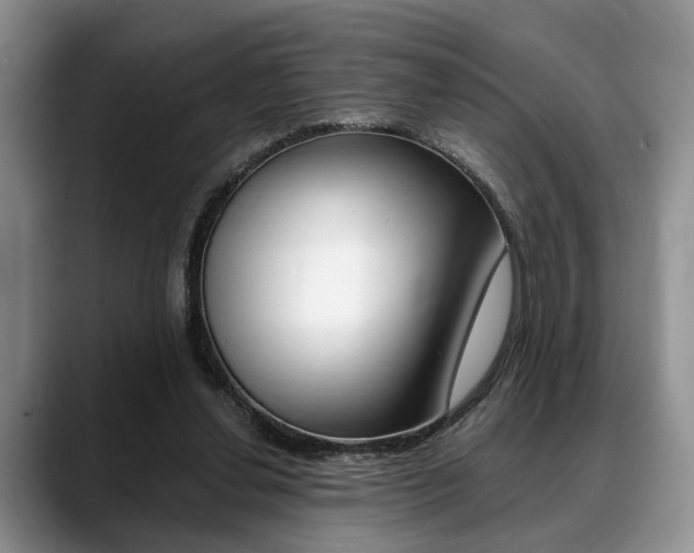 X0000088890252200706080812