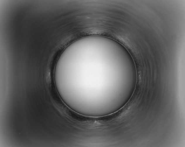 X0000088890254200706080812