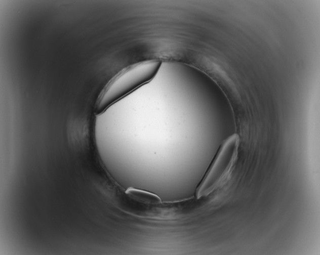 X0000088890260200706080812