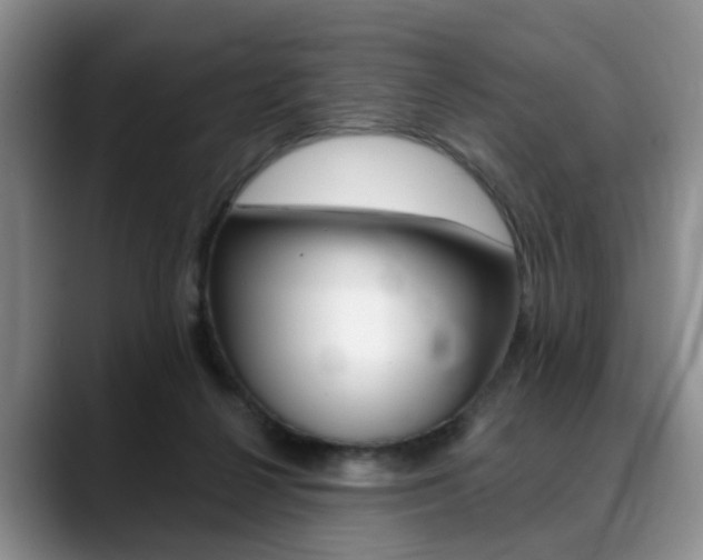 X0000088890264200706080812