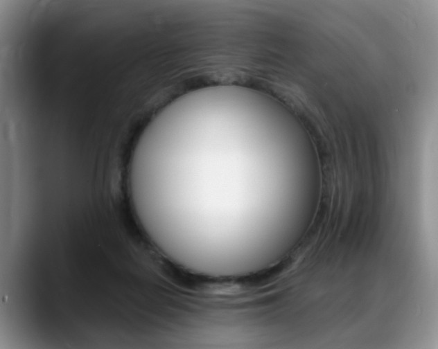 X0000088890266200706080812