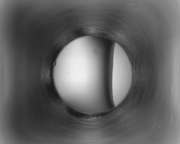 X0000088890267200706080812
