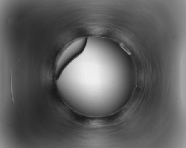 X0000088890268200706080812
