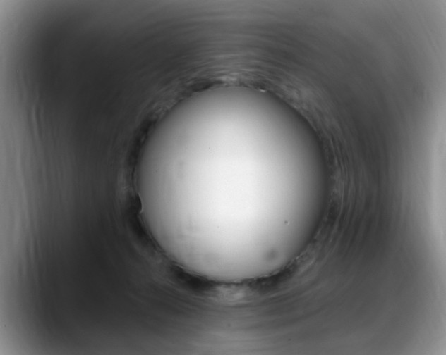 X0000088890272200706080812