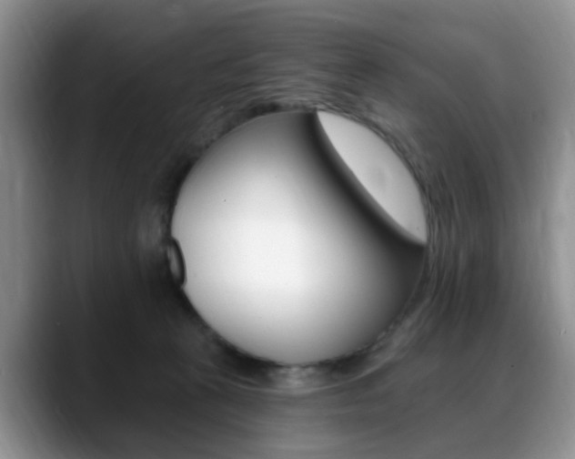 X0000088890273200706080812