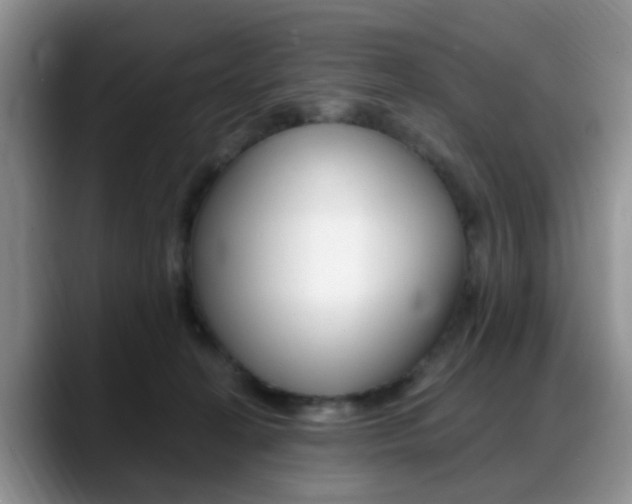X0000088890274200706080812