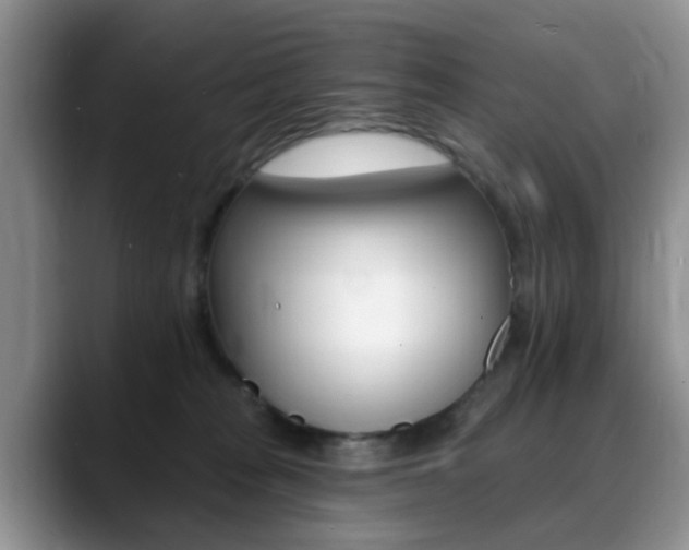 X0000088890277200706080812