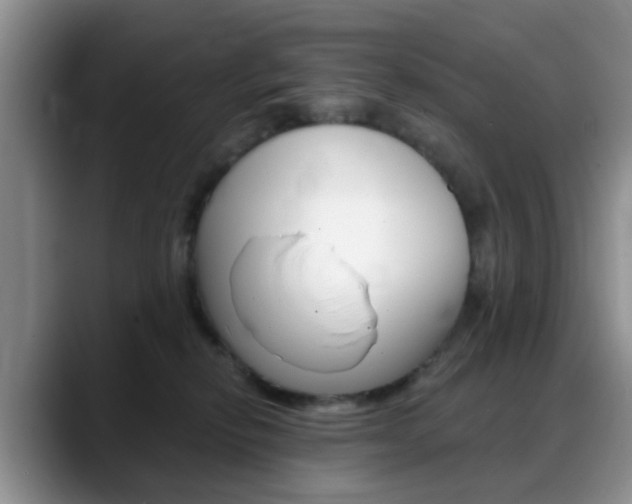 X0000088890278200706080812