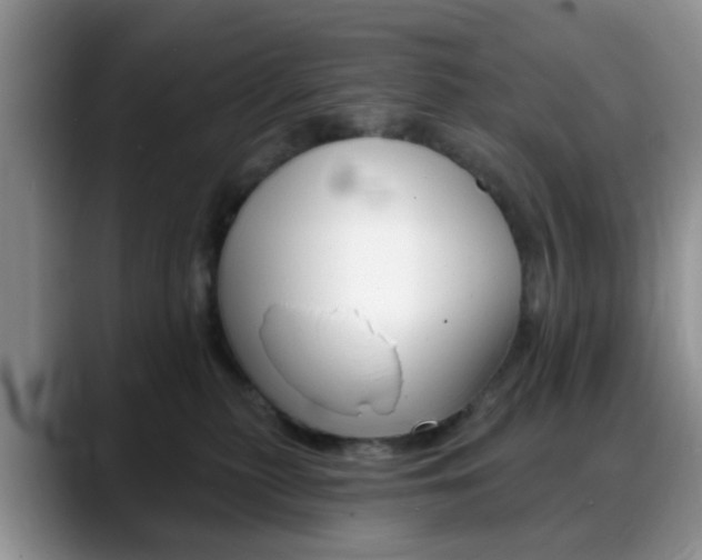 X0000088890279200706080812