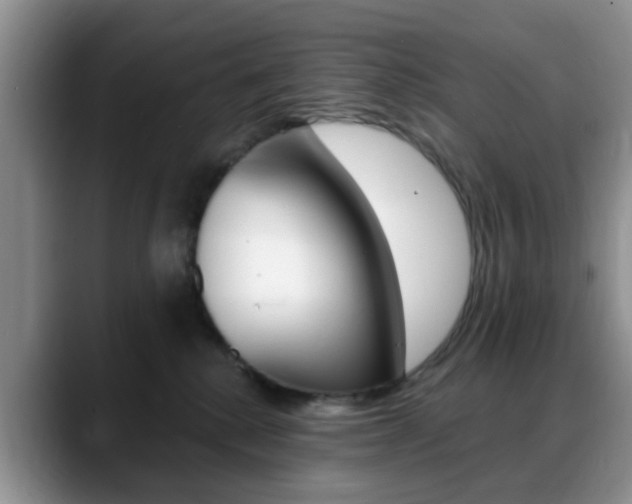 X0000088890280200706080812