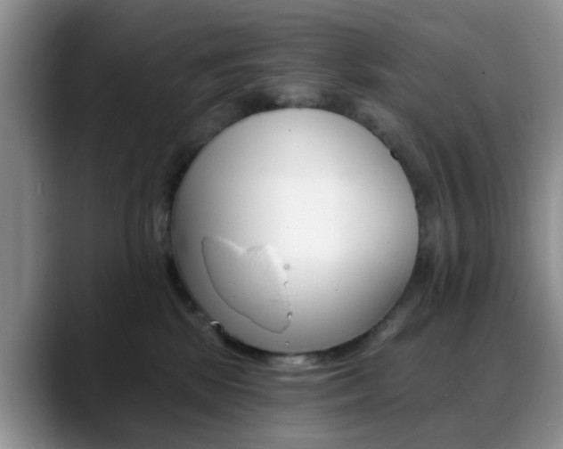 X0000088890281200706080812
