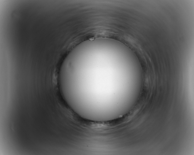 X0000088890282200706080812