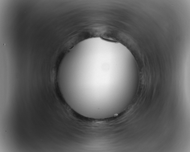 X0000088890283200706080812