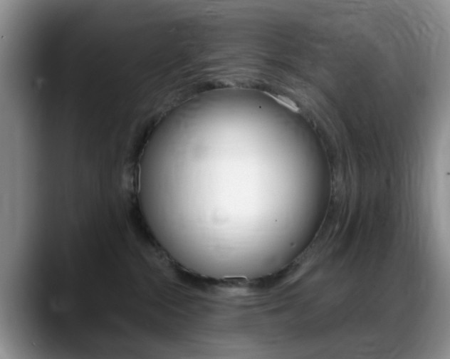 X0000088890284200706080813