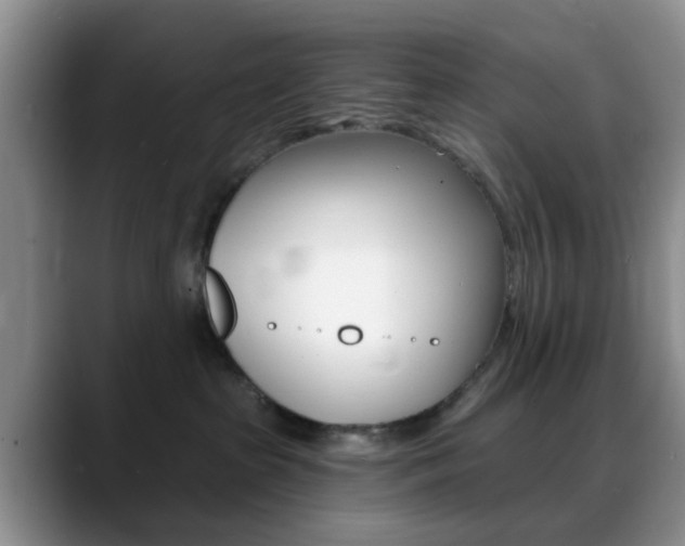 X0000088890285200706080813