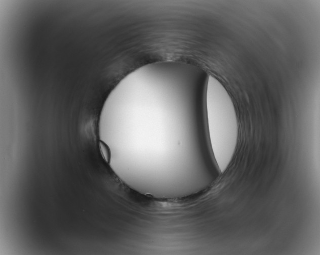 X0000088890286200706080813