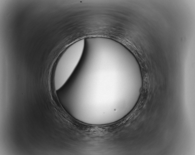 X0000088890290200706080812