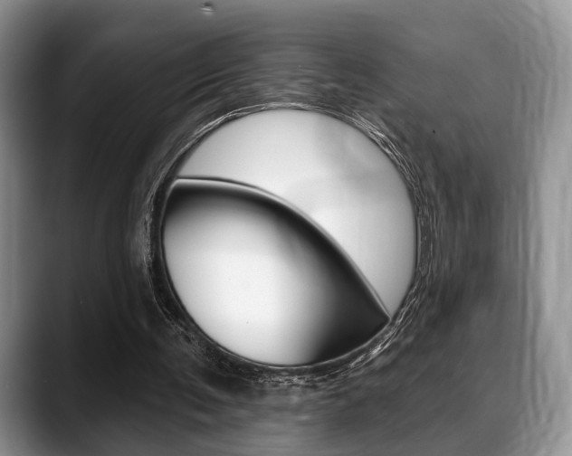 X0000088890291200706080812