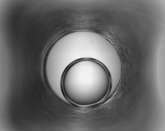 X0000088890293200706080812