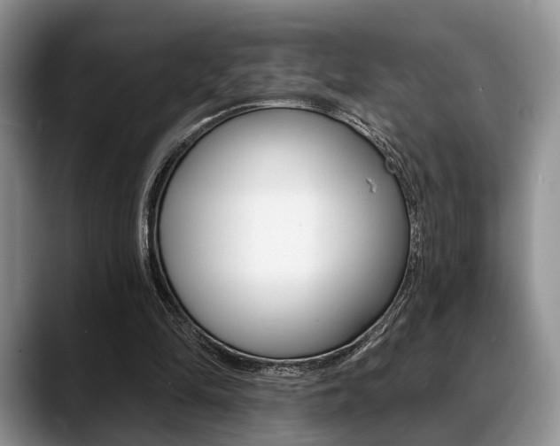 X0000088890294200706080812
