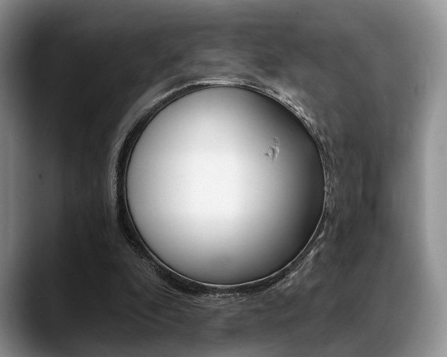 X0000088890296200706080812