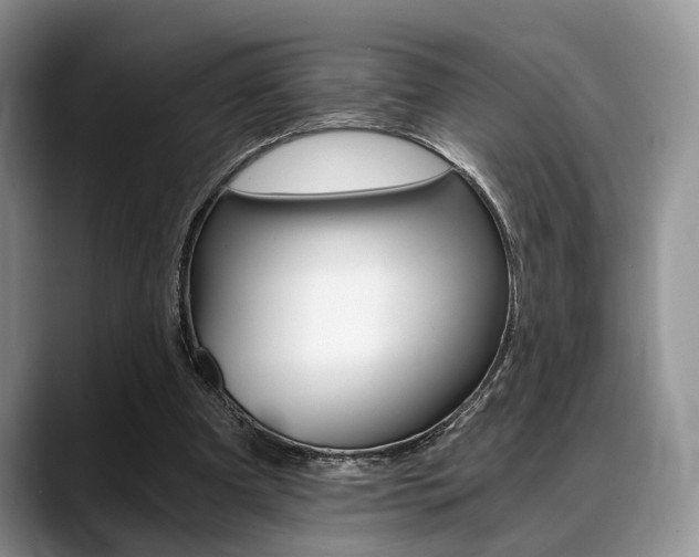 X0000088890297200706080812