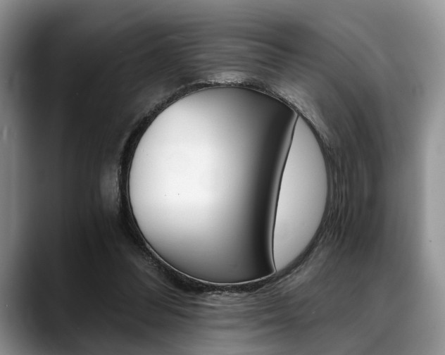 X0000088890300200706080812
