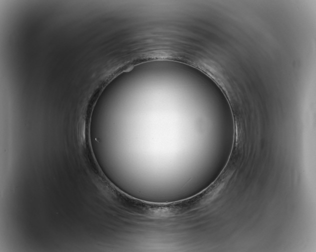 X0000088890301200706080812