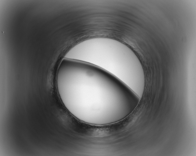 X0000088890303200706080812