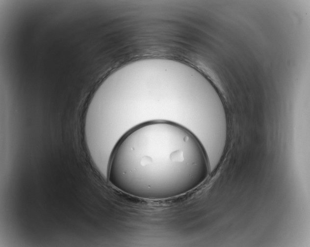 X0000088890305200706080812