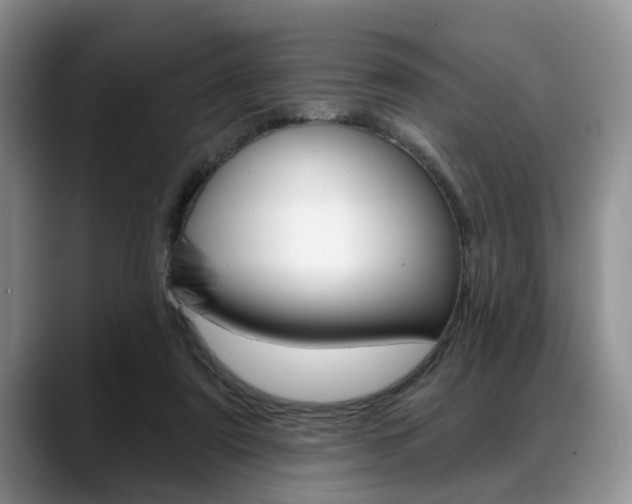 X0000088890307200706080812