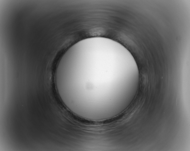 X0000088890308200706080812