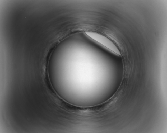 X0000088890309200706080812