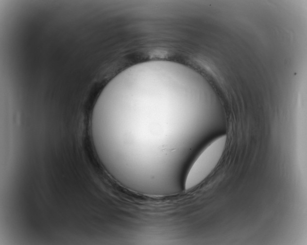 X0000088890311200706080812