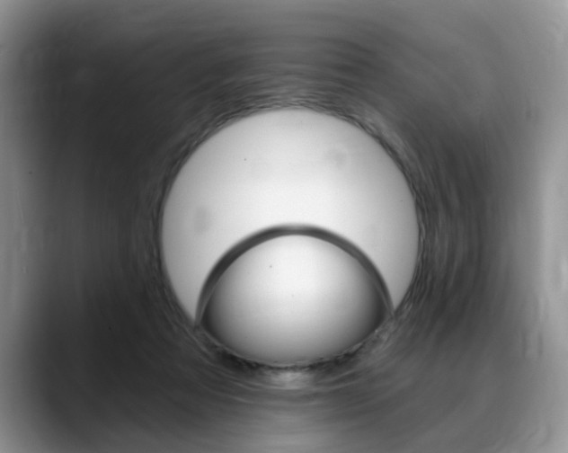 X0000088890313200706080812