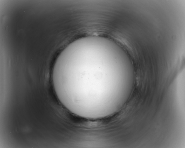 X0000088890314200706080812