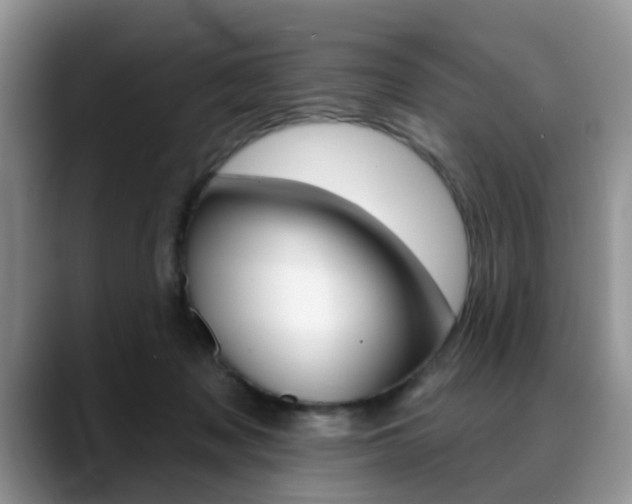 X0000088890317200706080812