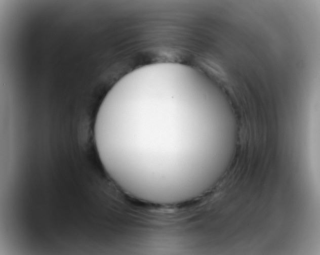 X0000088890318200706080812