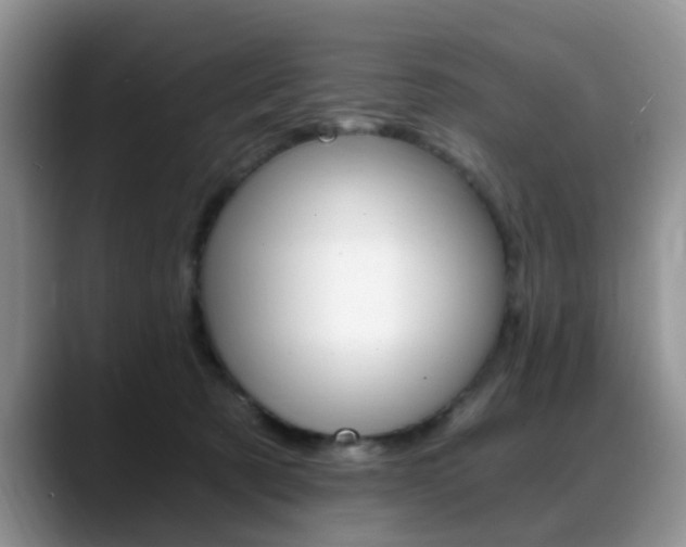 X0000088890321200706080812