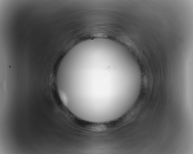 X0000088890322200706080812